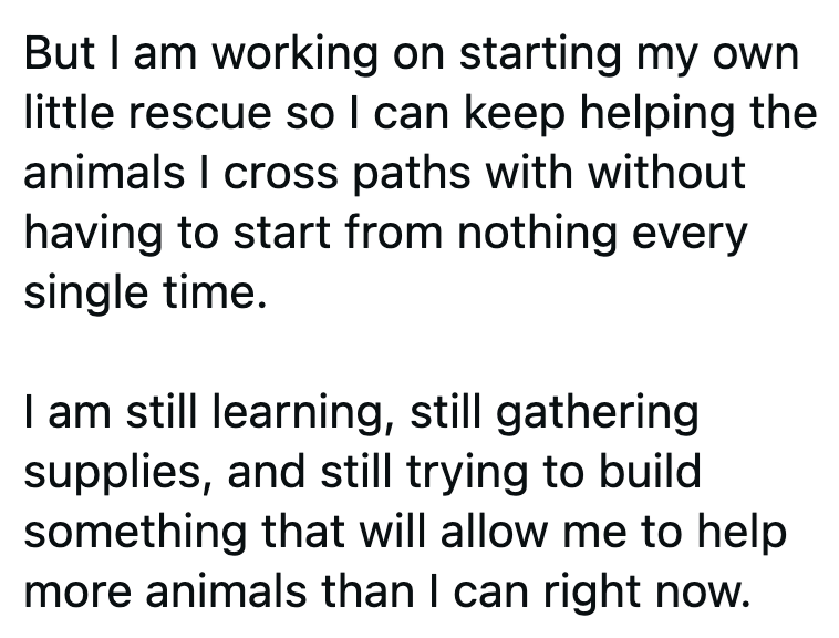 But I am working on starting my own little rescue so I can keep helping the animals I cross paths with without having to start from nothing every single time. I am still learning, still gathering supplies, and still trying to build something that will allow me to help more animals than I can right now.