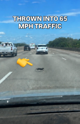 THROWN INTO 65 MPH TRAFFIC