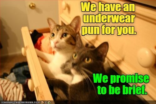 ICANHASCHEEZBURGER.COM We have an underwear pun for you. We promise to be brief
