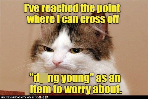 I've reached the point where I can cross off "ding young" as an item to worry about. ICANHASCHEEZBURGER.COM:0