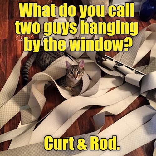 What do you call two guys hanging by the window? Curt & Rod.