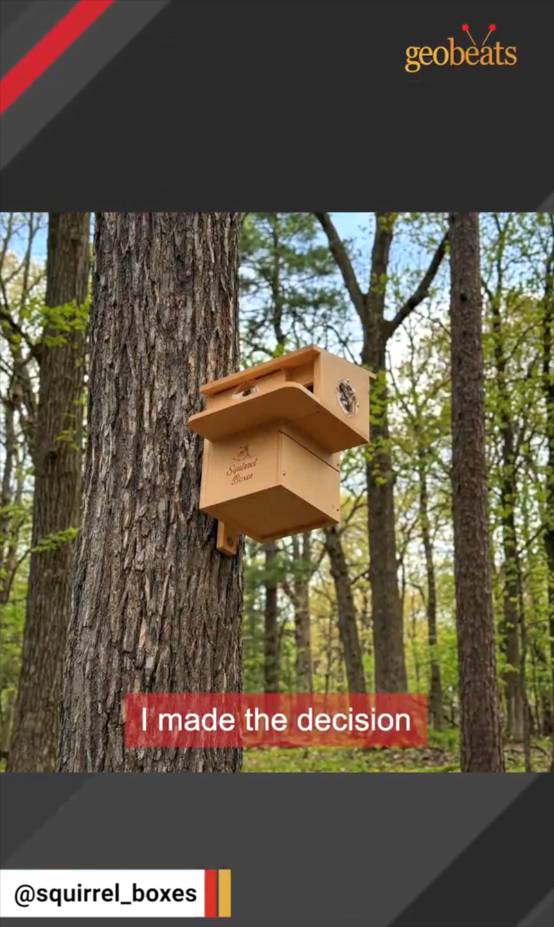 31 Squirrel Boxes I made the decision @squirrel_boxes geobeats