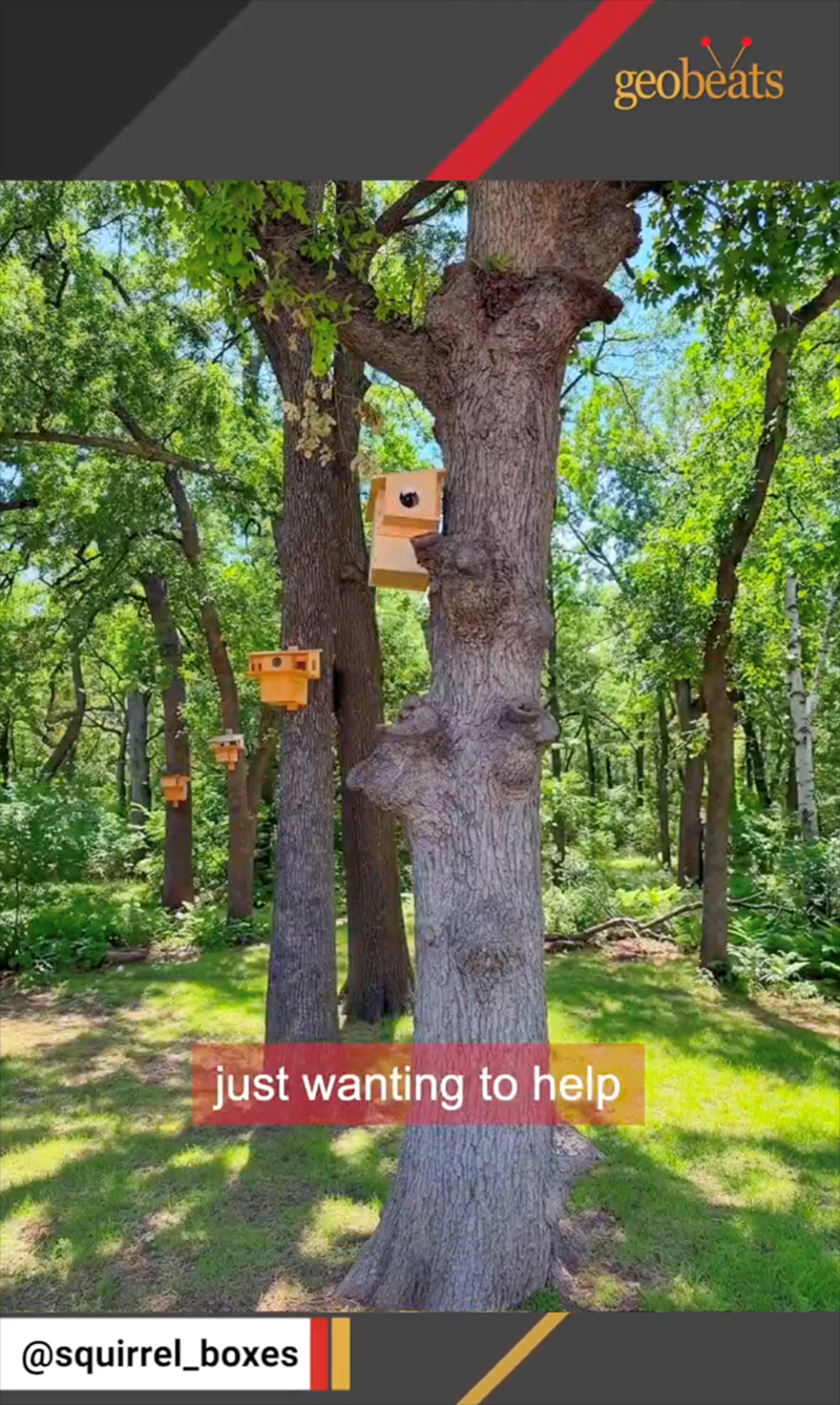 just wanting to help @squirrel_boxes geobeats