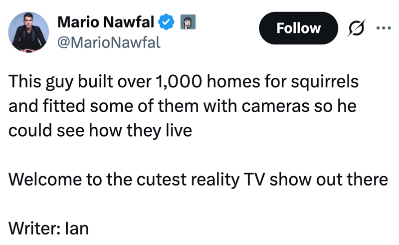 Mario Nawfal @MarioNawfal Follow This guy built over 1,000 homes for squirrels and fitted some of them with cameras so he could see how they live Welcome to the cutest reality TV show out there Writer: lan