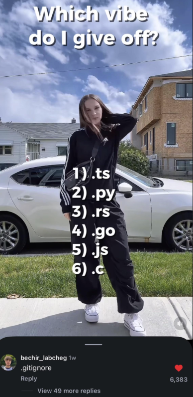 Which vibe do I give off? 1).ts 2).py 3).rs 4).go 5).js 6).c bechir_labcheg 1w .gitignore Reply View 49 more replies 6,383