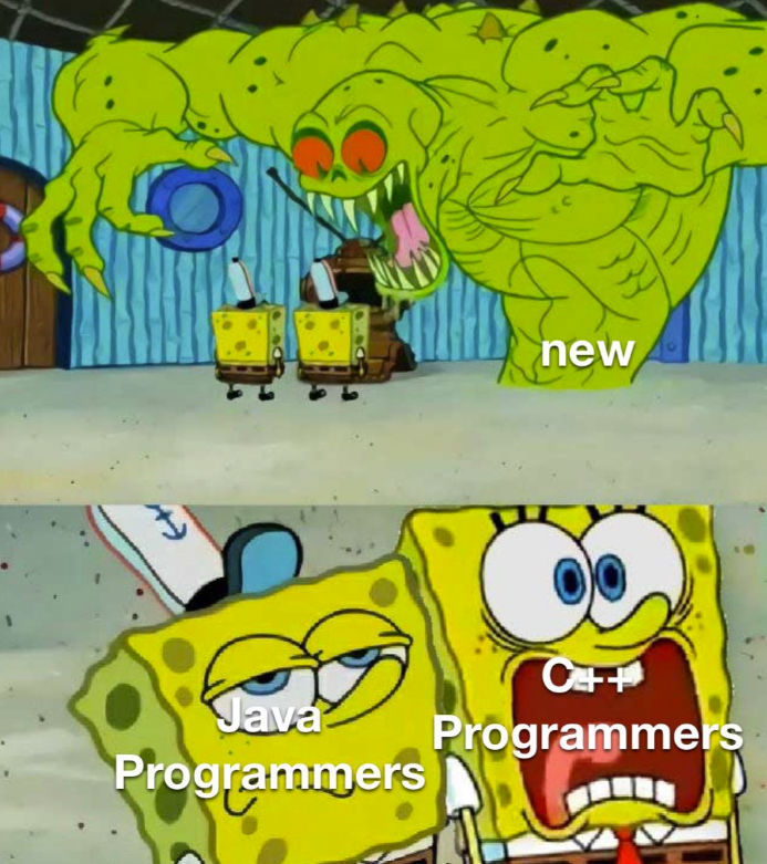 new C++ Java Programmers Programmers
