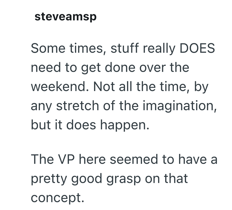 steveamsp Some times, stuff really DOES need to get done over the weekend. Not all the time, by any stretch of the imagination, but it does happen. The VP here seemed to have a pretty good grasp on that concept.