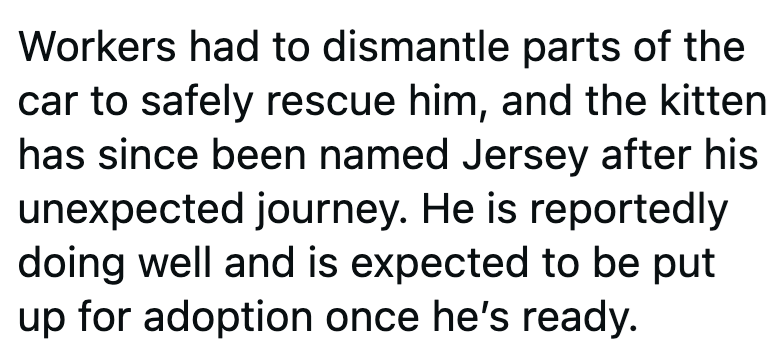 Workers had to dismantle parts of the car to safely rescue him, and the kitten has since been named Jersey after his unexpected journey. He is reportedly doing well and is expected to be put up for adoption once he's ready.