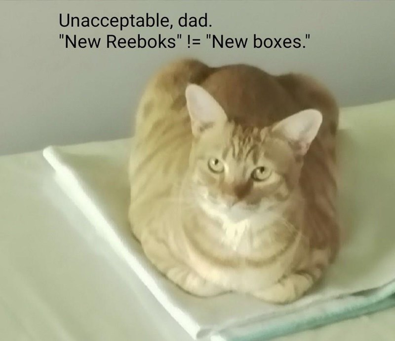 Unacceptable, dad. "New Reeboks" != "New boxes."