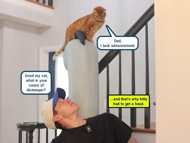 Good my cat, what is your cause of distemper? Dad, I lack advancement. ...and that's why kitty had to get a head.