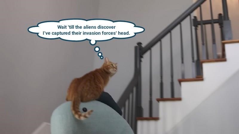 Wait 'till the aliens discover I've captured their invasion forces' head.