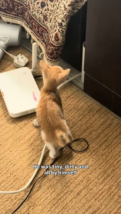 TIME He was tiny, dirty and all by himself