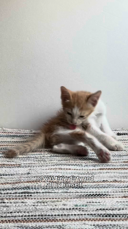 He was tiny, dirty and all by himself
