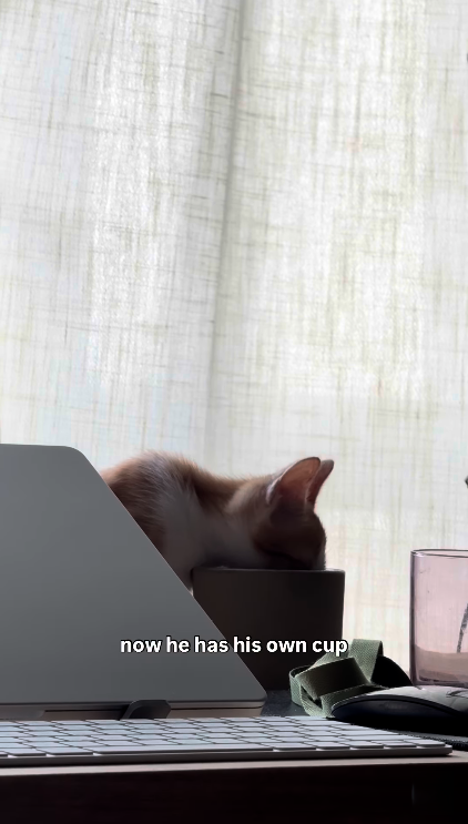 now he has his own cup