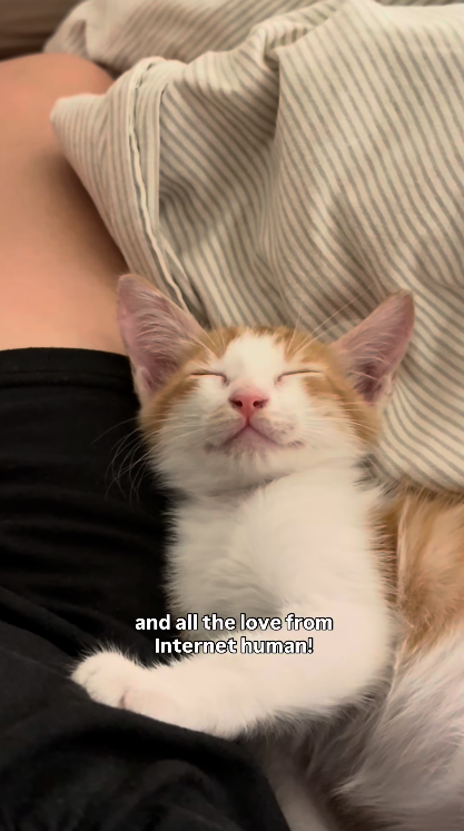 and all the love from Internet human!