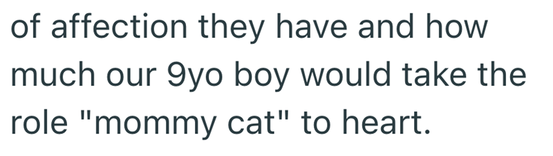 of affection they have and how much our 9yo boy would take the role "mommy cat" to heart.