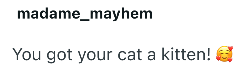 madame_mayhem You got your cat a kitten!