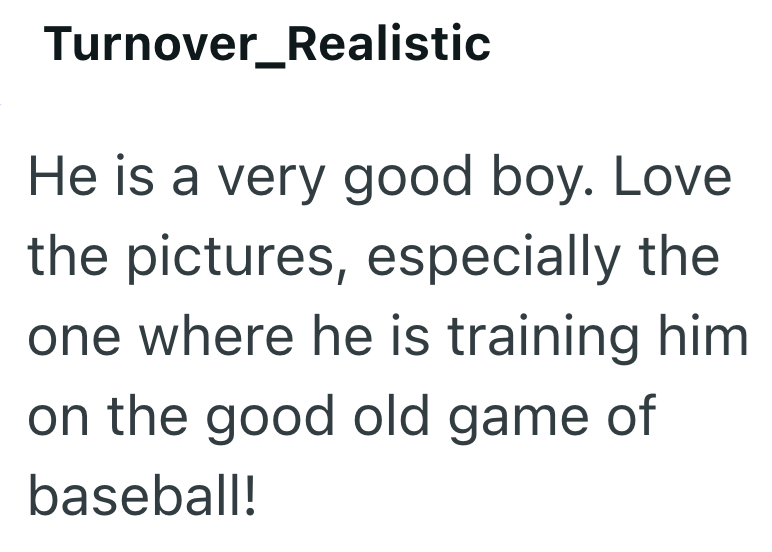 Turnover_Realistic He is a very good boy. Love the pictures, especially the one where he is training him on the good old game of baseball!