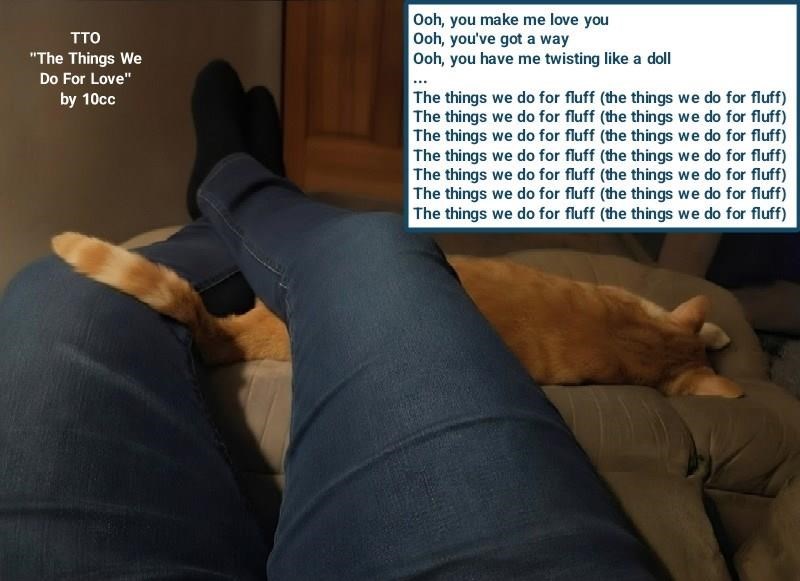 TTO "The Things We Do For Love" by 10cc Ooh, you make me love you Ooh, you've got a way Ooh, you have me twisting like a doll The things we do for fluff (the things we do for fluff) The things we do for fluff (the things we do for fluff) The things we do for fluff (the things we do for fluff) The things we do for fluff (the things we do for fluff) The things we do for fluff (the things we do for fluff) The things we do for fluff (the things we do for fluff) The things we do for fluff (the things