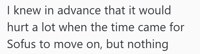 I knew in advance that it would hurt a lot when the time came for Sofus to move on, but nothing