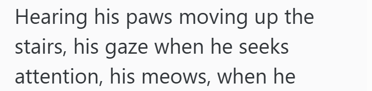 Hearing his paws moving up the stairs, his gaze when he seeks attention, his meows, when he