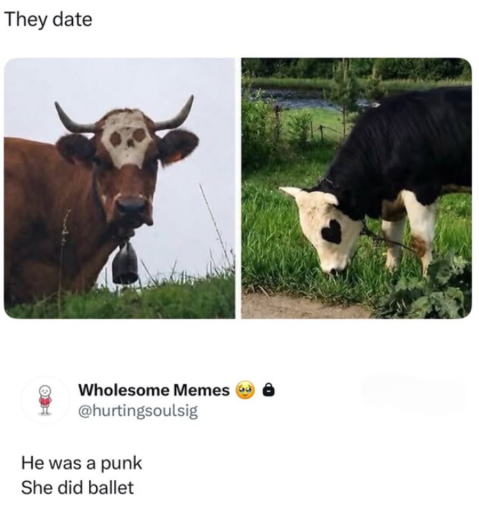 They date Wholesome Memes @hurtingsoulsig He was a punk She did ballet
