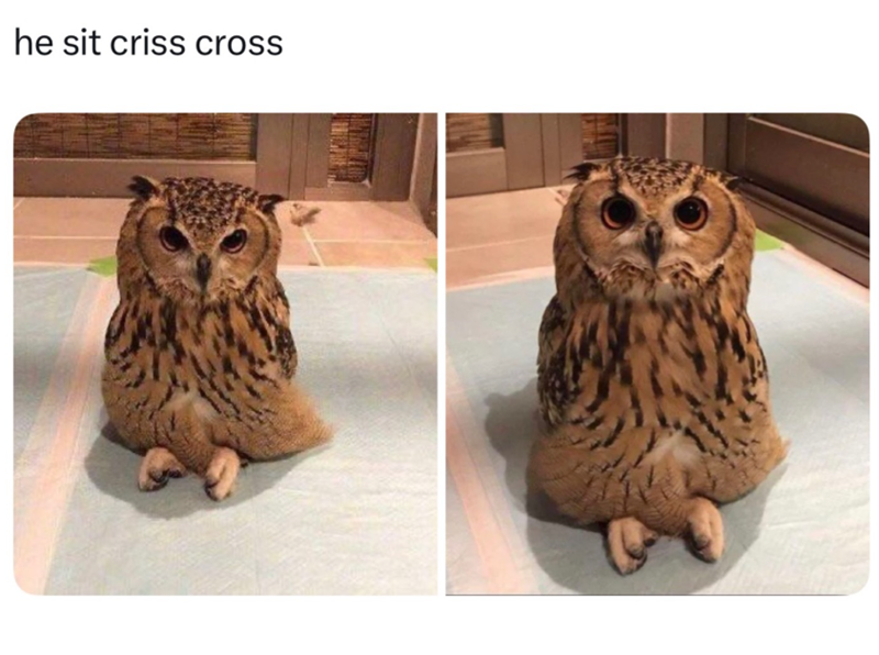 he sit criss cross