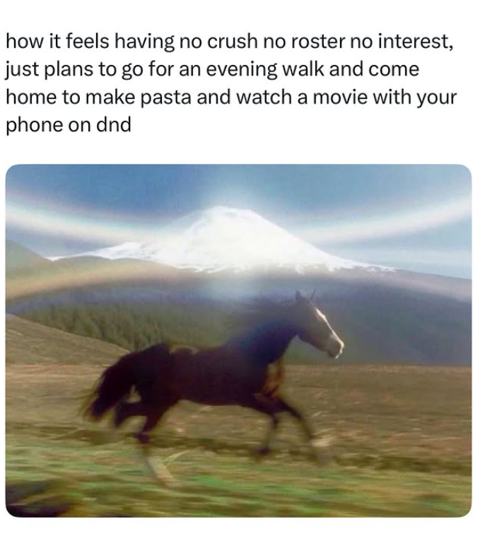 how it feels having no crush no roster no interest, just plans to go for an evening walk and come home to make pasta and watch a movie with your phone on dnd