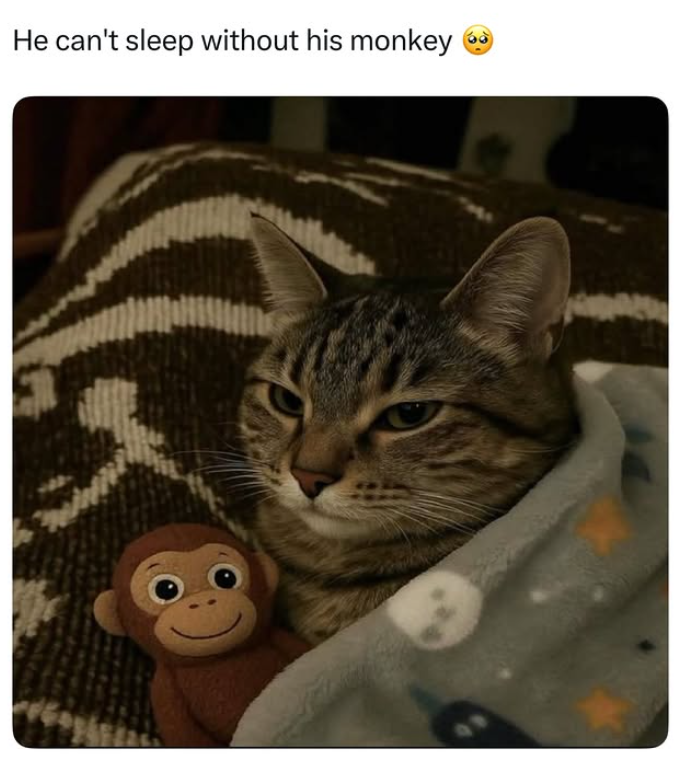 He can't sleep without his monkey