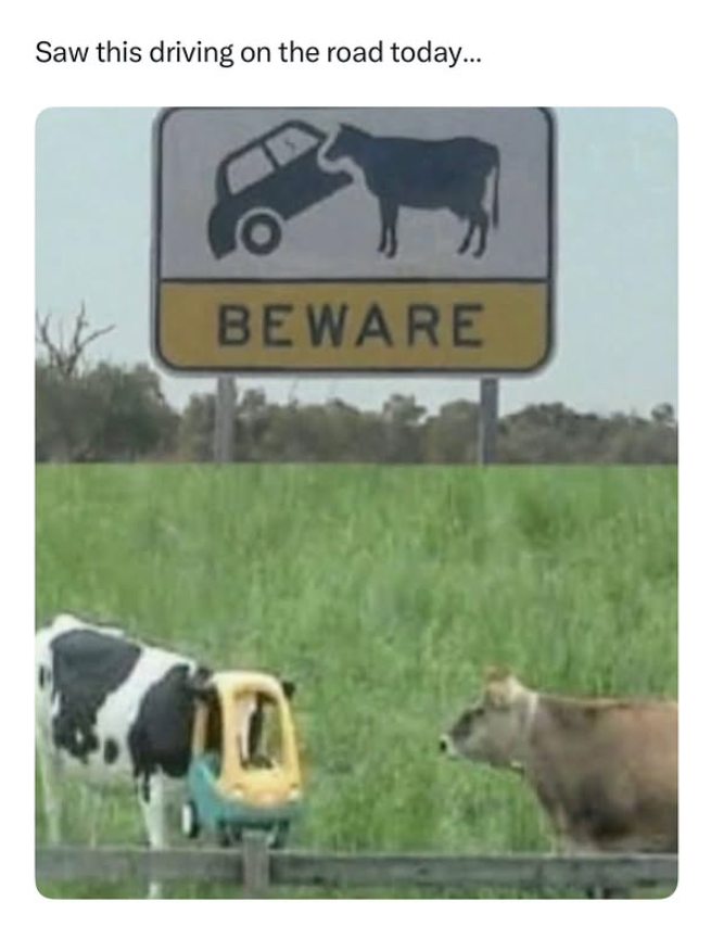 Saw this driving on the road today... BEWARE