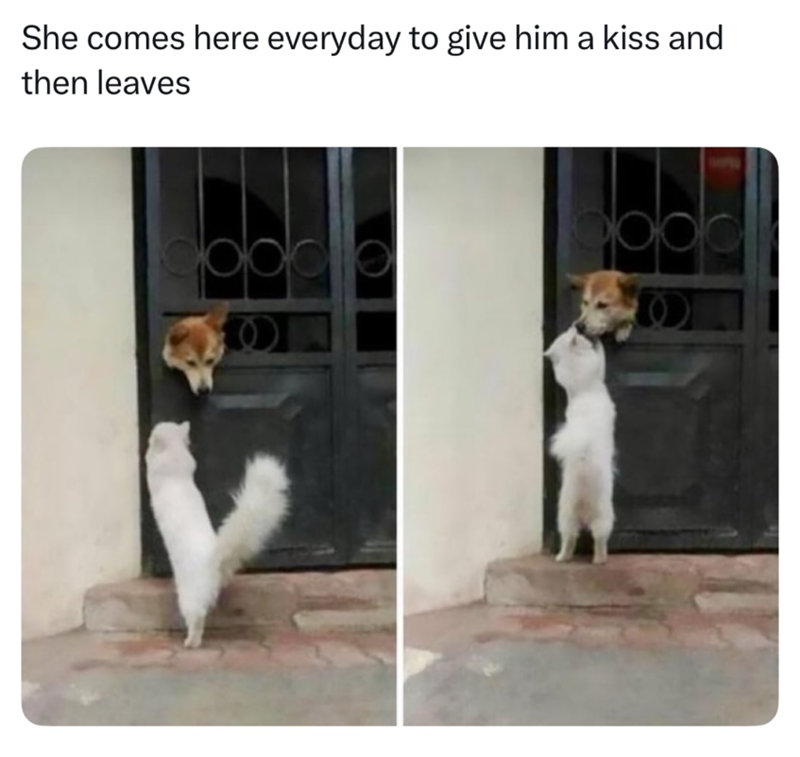 She comes here everyday to give him a kiss and then leaves go
