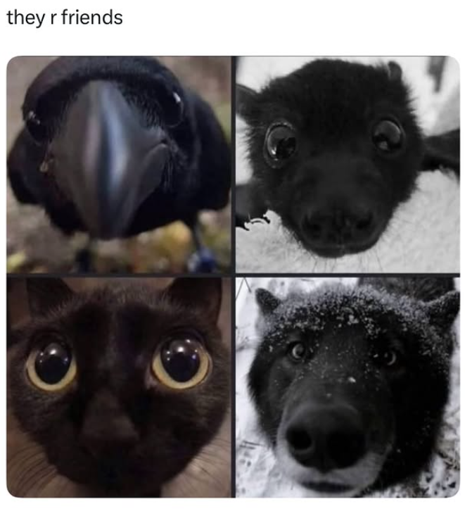 they r friends
