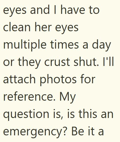 eyes and I have to clean her eyes multiple times a day or they crust shut. I'll attach photos for reference. My question is, is this an emergency? Be it a