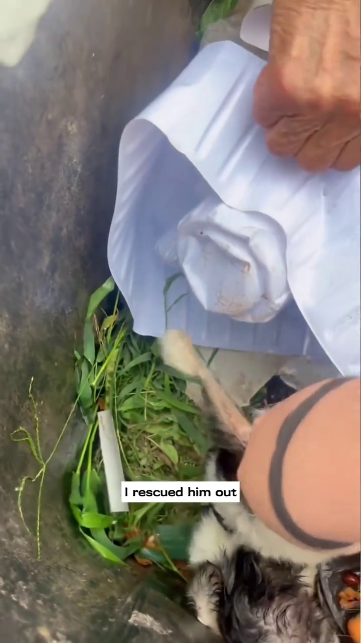 I rescued him out