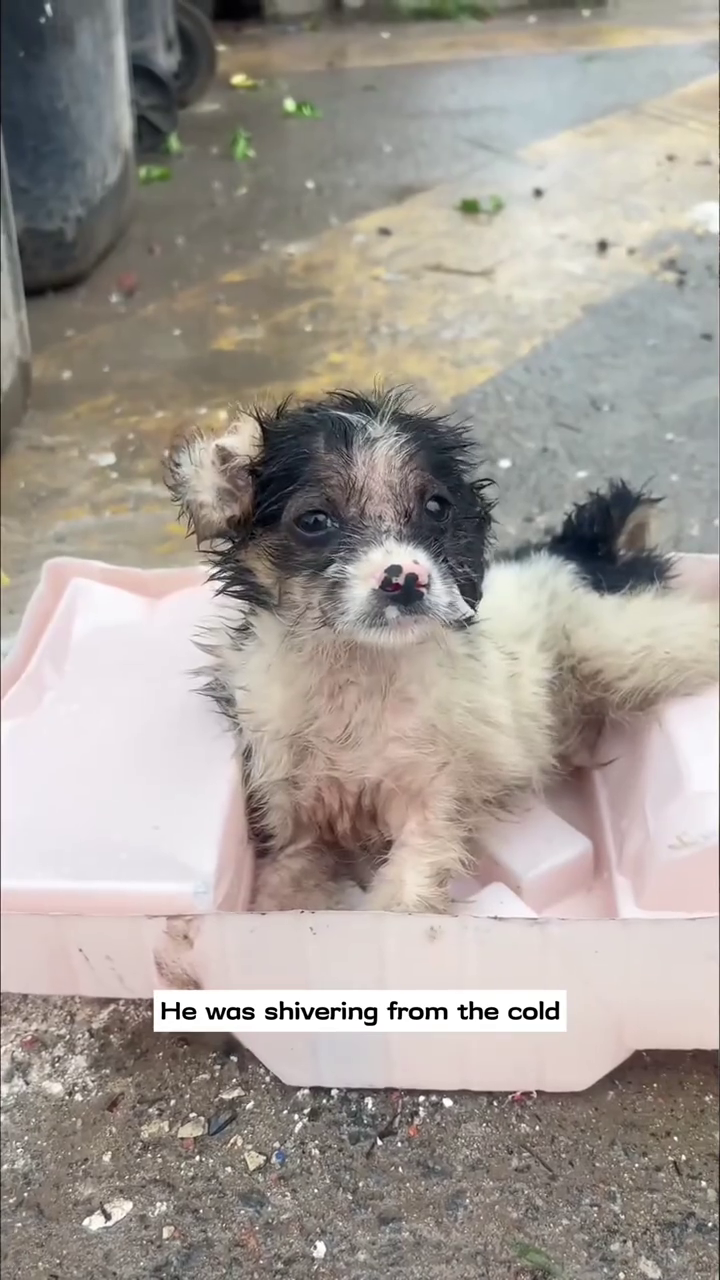 He was shivering from the cold