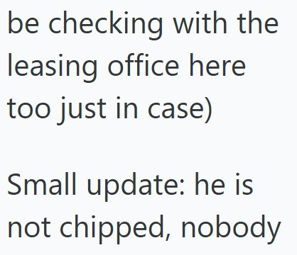 be checking with the leasing office here too just in case) Small update: he is not chipped, nobody