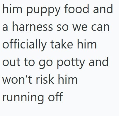 him puppy food and a harness so we can officially take him out to go potty and won't risk him running off