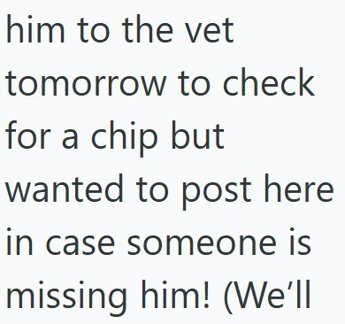 him to the vet tomorrow to check for a chip but wanted to post here in case someone is missing him! (We'll