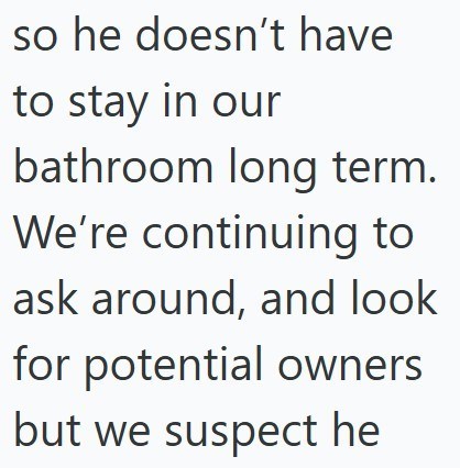 so he doesn't have to stay in our bathroom long term. We're continuing to ask around, and look for potential owners but we suspect he