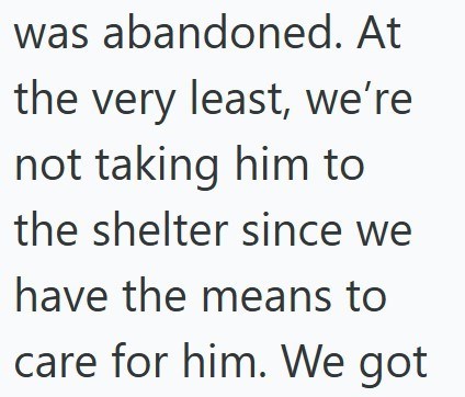 was abandoned. At the very least, we're not taking him to the shelter since we have the means to care for him. We got