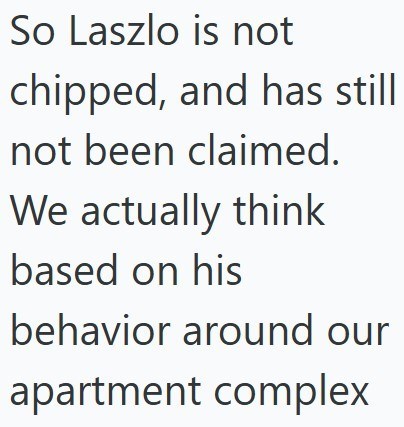 So Laszlo is not chipped, and has still not been claimed. We actually think based on his behavior around our apartment complex