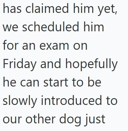 has claimed him yet, we scheduled him for an exam on Friday and hopefully he can start to be slowly introduced to our other dog just