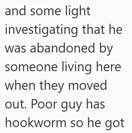 and some light investigating that he was abandoned by someone living here when they moved out. Poor guy has hookworm so he got