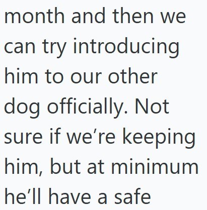 month and then we can try introducing him to our other dog officially. Not sure if we're keeping him, but at minimum he'll have a safe