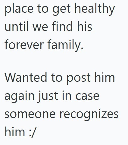 place to get healthy until we find his forever family. Wanted to post him again just in case someone recognizes him :/