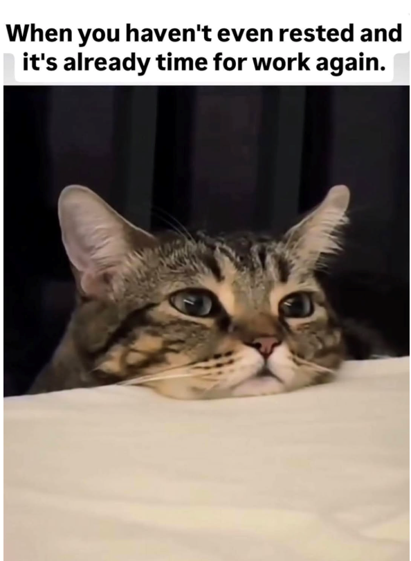 When you haven't even rested and it's already time for work again.