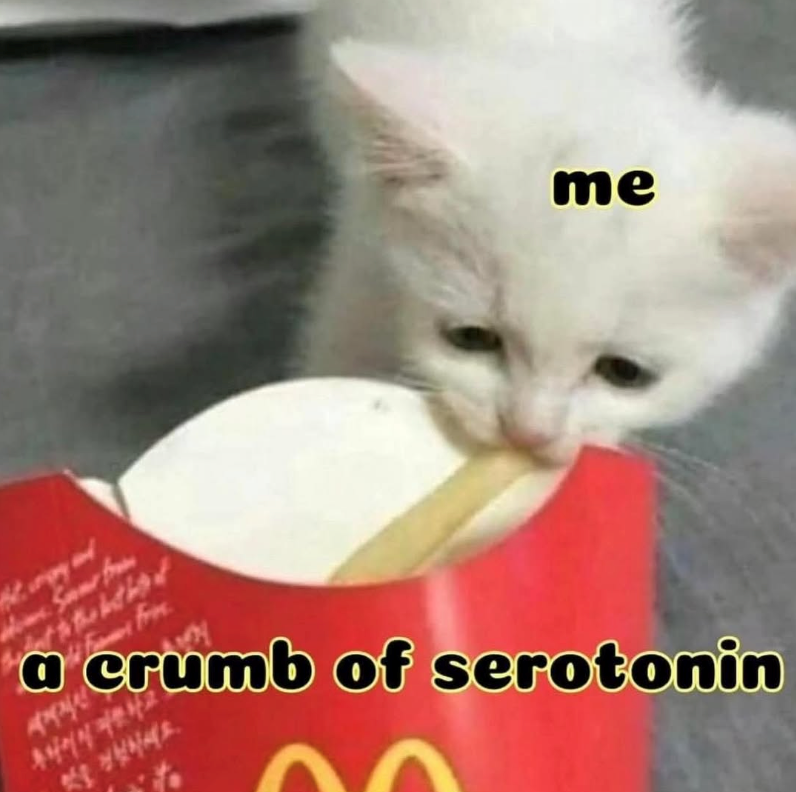 me 세계적인 fram 맛을 경험하세요. fr a crumb of serotonin