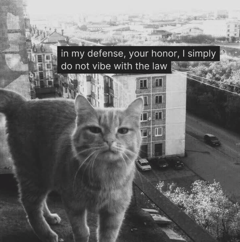 in my defense, your honor, I simply do not vibe with the law