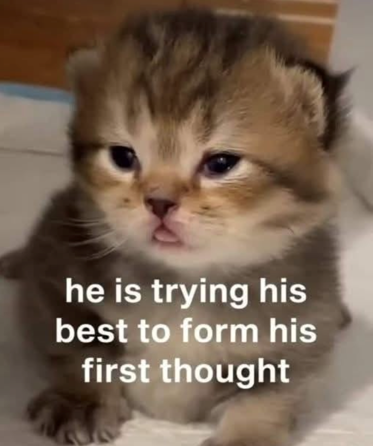 he is trying his best to form his first thought