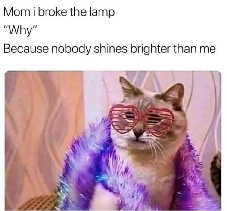 Mom i broke the lamp "Why" Because nobody shines brighter than me